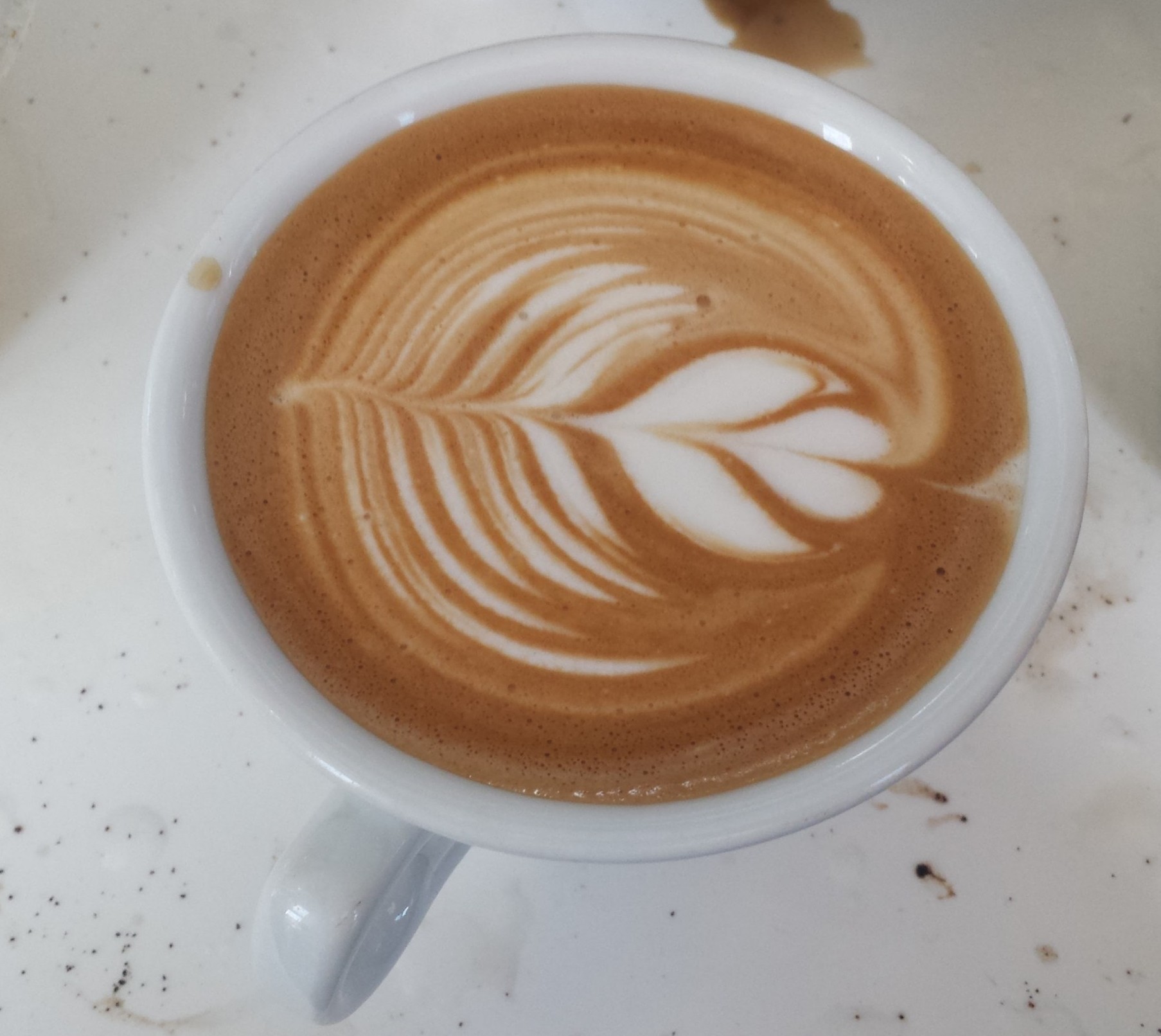 You are currently viewing Latte Art